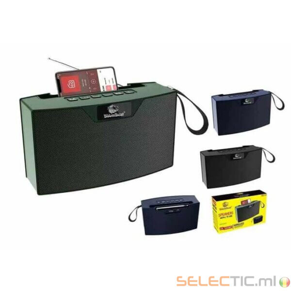 Enceinte Bluetooth sans fil et radio Boombest LN-1016BT