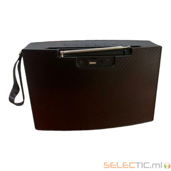 Enceinte Bluetooth sans fil et radio Boombest LN-1016BT